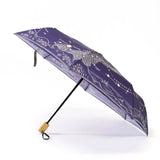 Cognitive Surplus Folding Umbrella - Astronomy