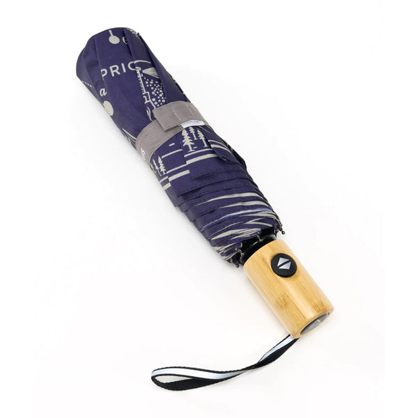 Cognitive Surplus Folding Umbrella - Astronomy