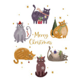 Leanin' Tree Holiday Boxed Cards 12pk Merry Christmas Cats