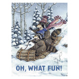 Leanin' Tree Holiday Boxed Cards 12pk Oh What Fun, Raccoons