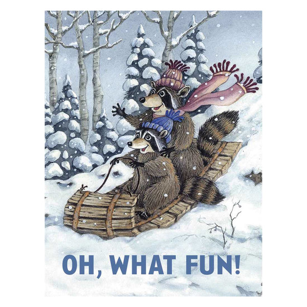 Leanin' Tree Holiday Boxed Cards 12pk Oh What Fun, Raccoons