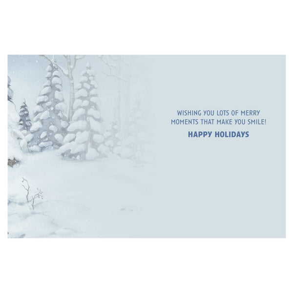 Leanin' Tree Holiday Boxed Cards 12pk Oh What Fun, Raccoons
