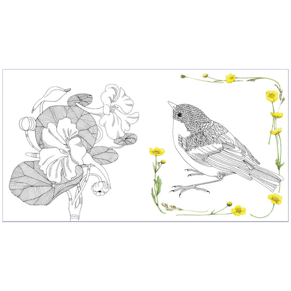 Magical Nature Colouring Book by Marjolein Bastin
