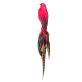 Abbott Birdclip with Long Tail - Pink