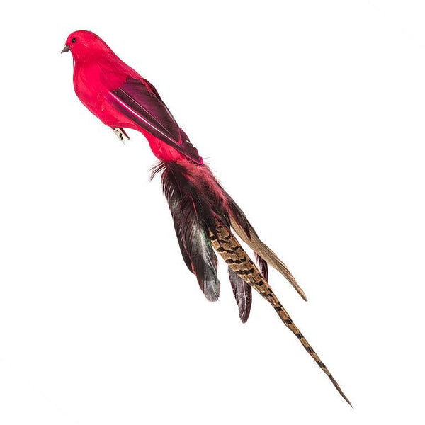 Abbott Birdclip with Long Tail - Pink