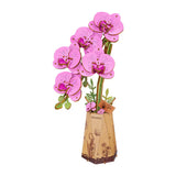 Robotime Rowood DIY Wooden Flower Model Kit - Purple Moth Orchid