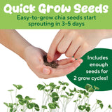Creativity for Kids Plant-a-Pet - Cow