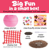 Creativity for Kids Plant-a-Pet - Piggy