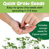 Creativity for Kids Plant-a-Pet - Piggy