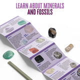 Thames & Kosmos - I Dig It! Rocks & Fossils Mini Excavation
