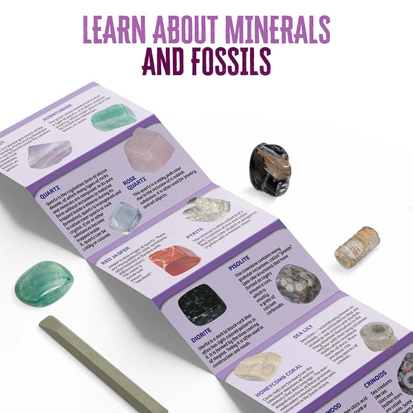 Thames & Kosmos - I Dig It! Rocks & Fossils Mini Excavation