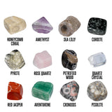 Thames & Kosmos - I Dig It! Rocks & Fossils Mini Excavation