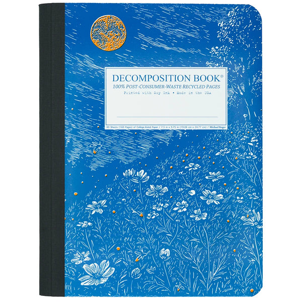 Decomposition Notebook - Fireflies