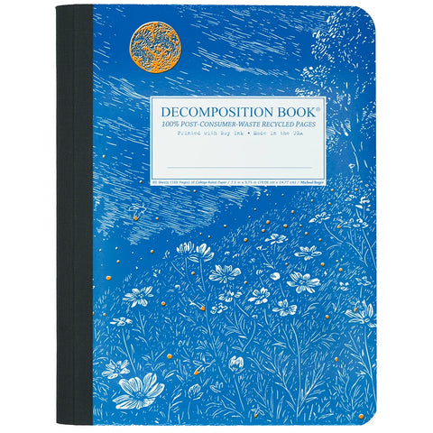 Decomposition Notebook - Fireflies