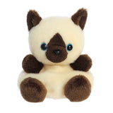 Aurora Palm Pals Plush Toy - Dusty Siamese Kitten