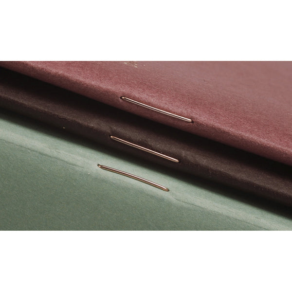 Field Notes Lucky Memo Books 3pk Ledger Ruled, Limited Edition