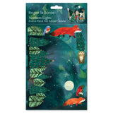 Roger la Borde Pop & Slot 3D Advent Calendar, Petite - Northern Lights