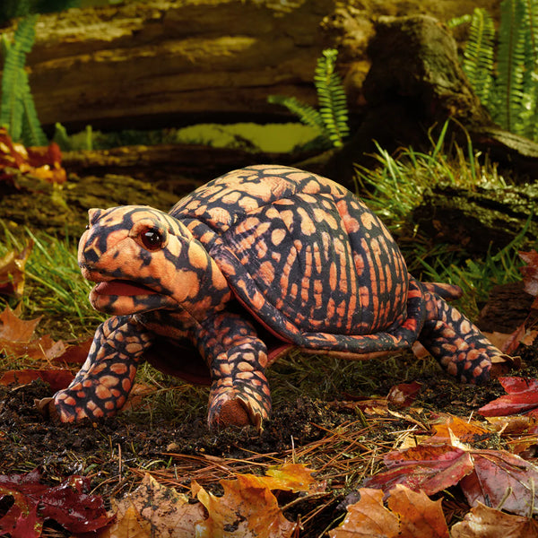 Folkmanis Hand Puppet - Box Turtle