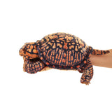 Plush turtle toy with orange and black pattern on a white background