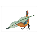Pomegranate Notecards 10pk Qavavau Manumie: Feathering The Nest
