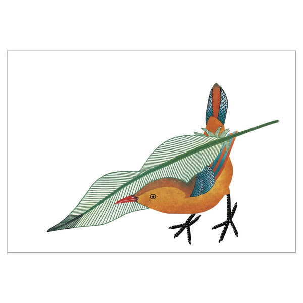 Pomegranate Notecards 10pk Qavavau Manumie: Feathering The Nest