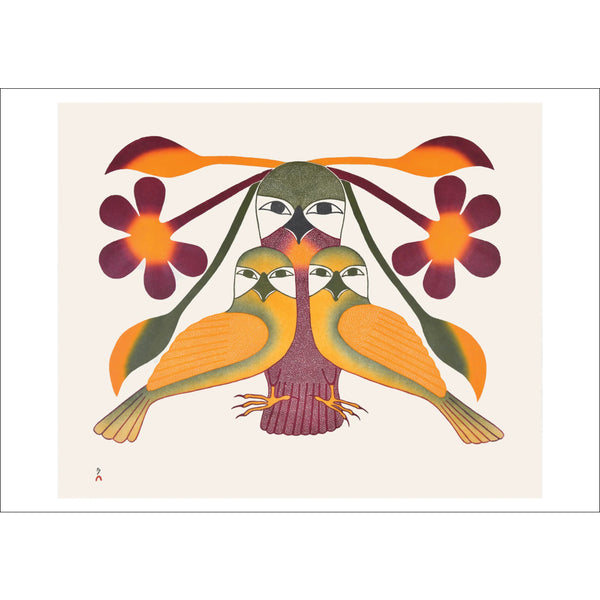 Pomegranate Small Holiday Cards 10pk: Kenojuak Ashevak, Resplendent Owl