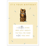 Art File Birthday Greeting Card - It's Your Birthday Cat & Bird