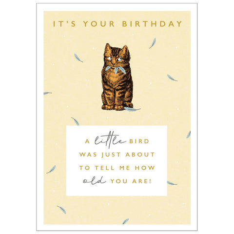 Art File Birthday Greeting Card - It's Your Birthday Cat & Bird