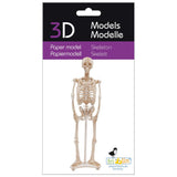 Fridolin 3D Paper Model - Skeleton