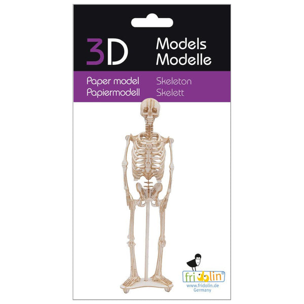 Fridolin 3D Paper Model - Skeleton