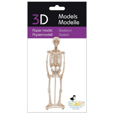 Fridolin 3D Paper Model - Skeleton