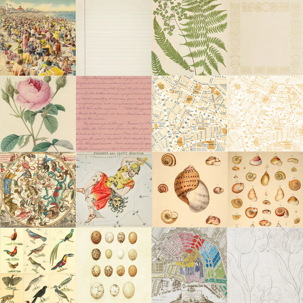 PPP PAPER PACK EphemeraPattern