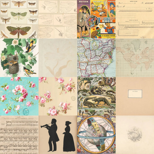 PPP PAPER PACK EphemeraPattern