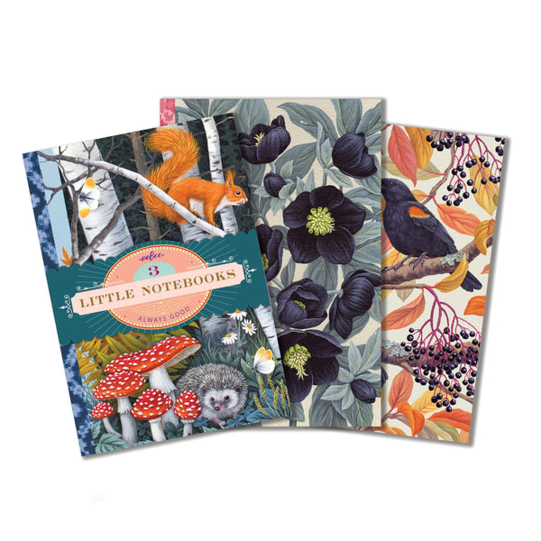eeBoo Tiny Journal Assortment - 3pk Nature