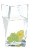 Ganz Water Grow Toy - Chick & Frog Growers