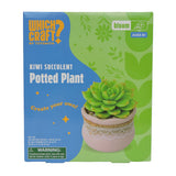 The retail packaging box for the 'Which Craft by Toysmith Kiwi Succulent Potted Plant'. The box features a bright blue and green design with a photo of the completed green succulent in a pink pot on the front.