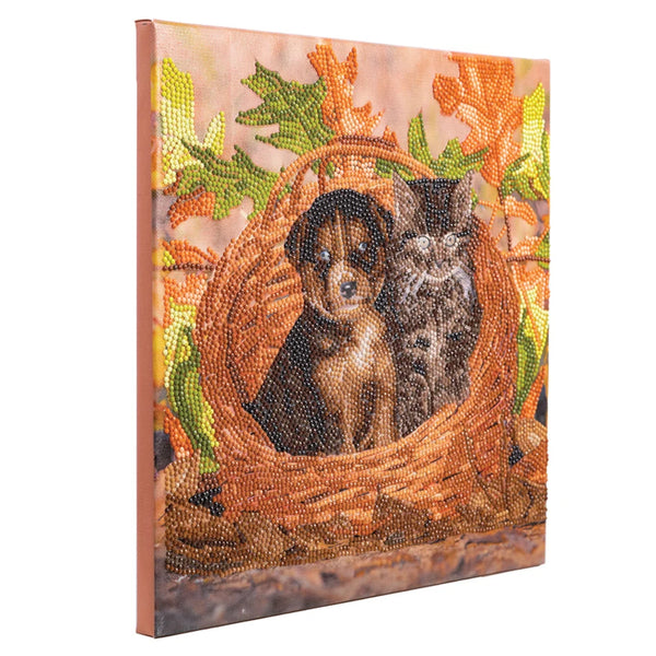Crystal Art Mounted Kit, Medium - Best Friends