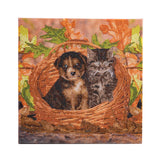 Crystal Art Mounted Kit, Medium - Best Friends