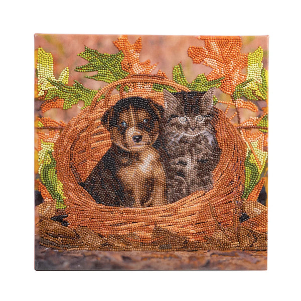 Crystal Art Mounted Kit, Medium - Best Friends