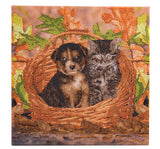 Crystal Art Mounted Kit, Medium - Best Friends