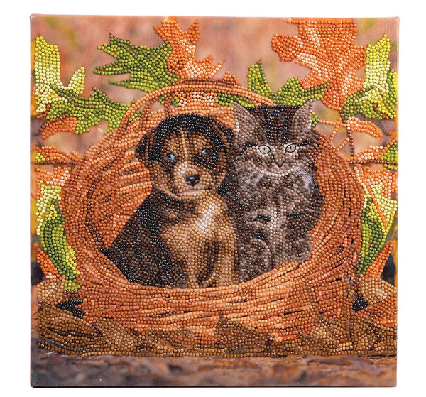 Crystal Art Mounted Kit, Medium - Best Friends
