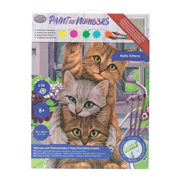 Craft Buddy Paint By Number, Large - Hi Kittens