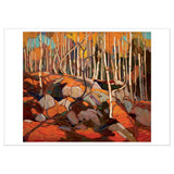 Pomegranate Notecard - Tom Thomson: The Birch Grove, Autumn