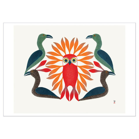 Pomegranate Birthday Greeting Card - Kenojuak Ashevak: Loons Protect Owl