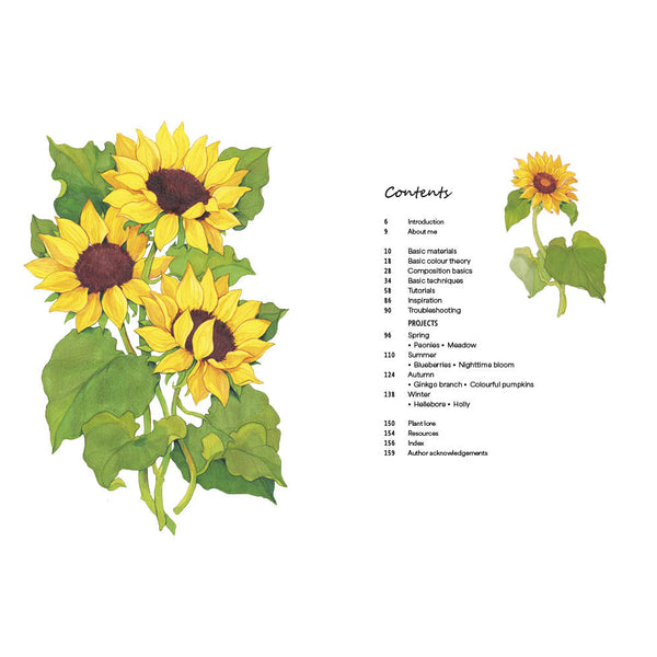 Leaping Hare Press Rewild Your Drawing: How to draw botanicals