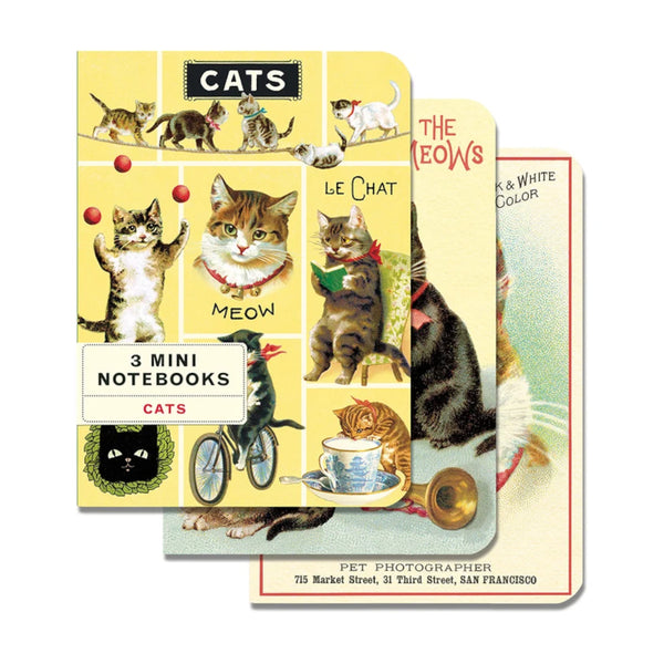 Cavallini Mini (A6) Notebook Set 3pk - Cats, Mixed Paper 4x5.5" 96pg