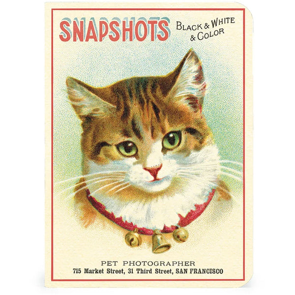 Cavallini Mini (A6) Notebook Set 3pk - Cats, Mixed Paper 4x5.5" 96pg