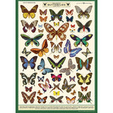 Cavallini Vintage Art Poster - Field Guide to Butterflies