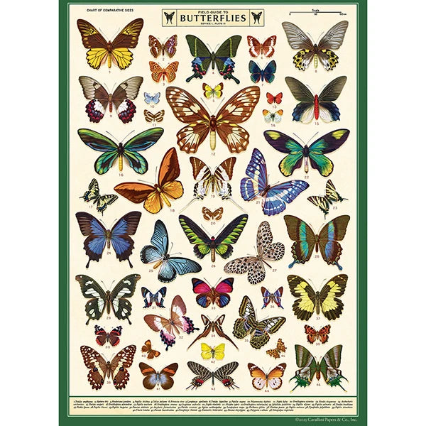 Cavallini Vintage Art Poster - Field Guide to Butterflies
