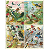 Cavallini 1000pc Vintage Puzzle - World of Birds